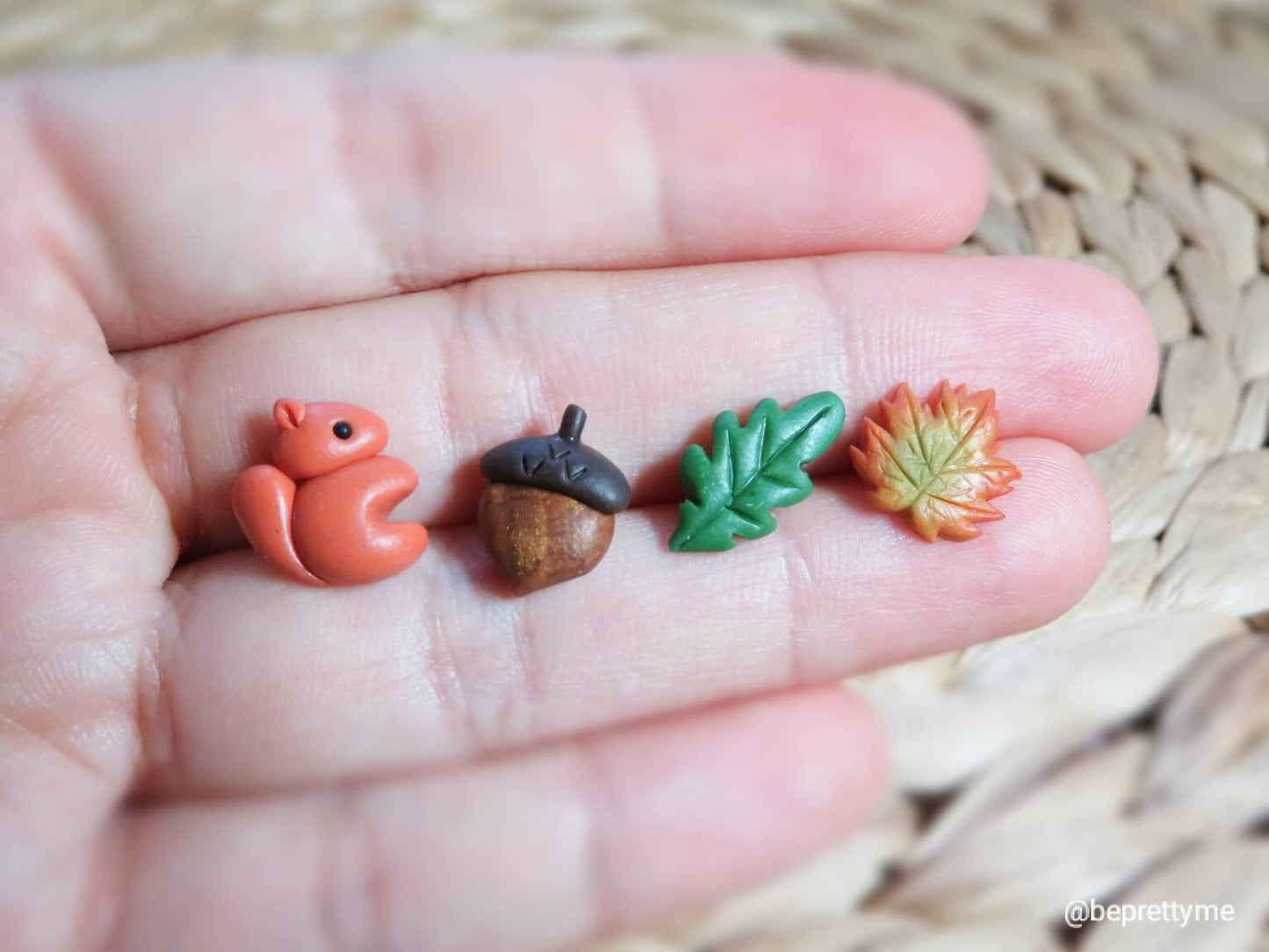 Little Autumn Squirrel