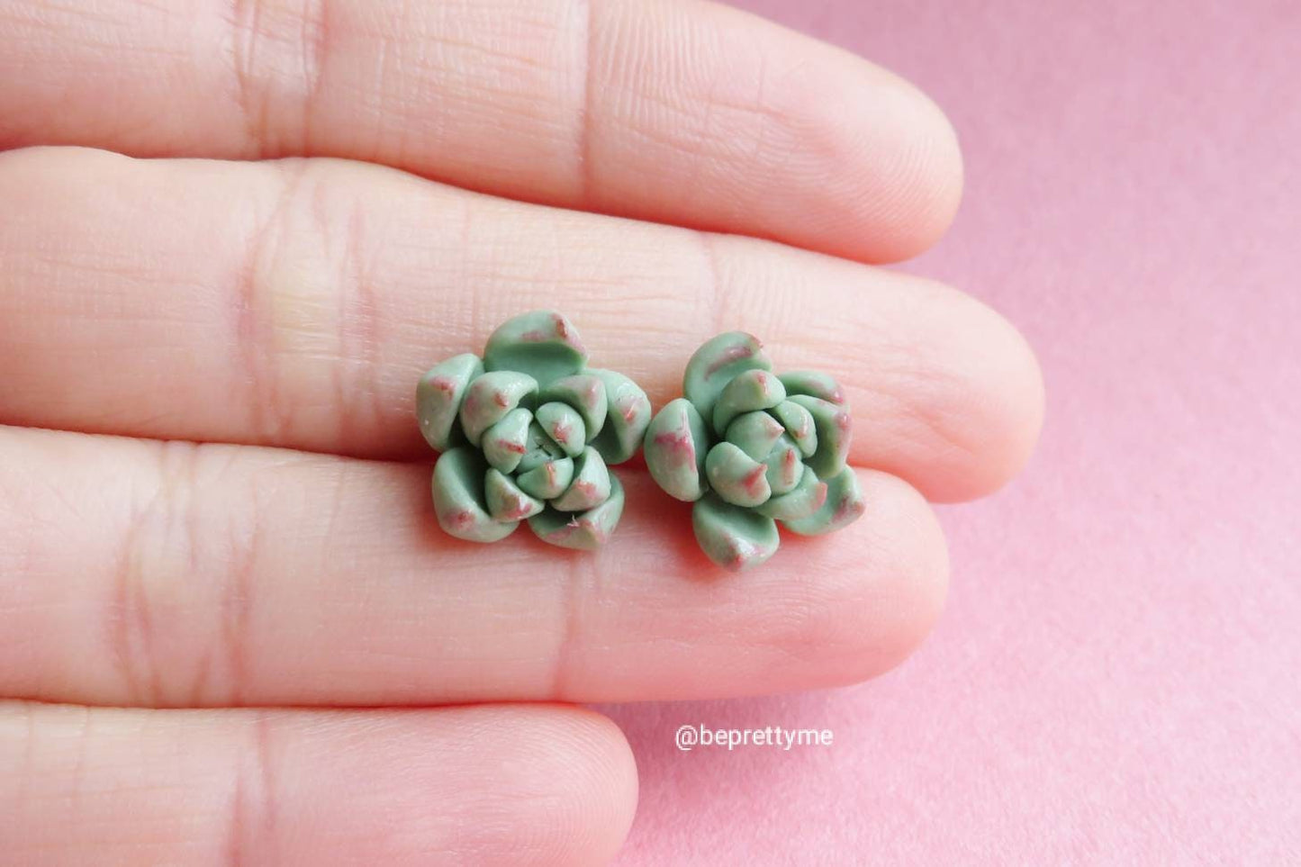 Cute Succulents Earrings
