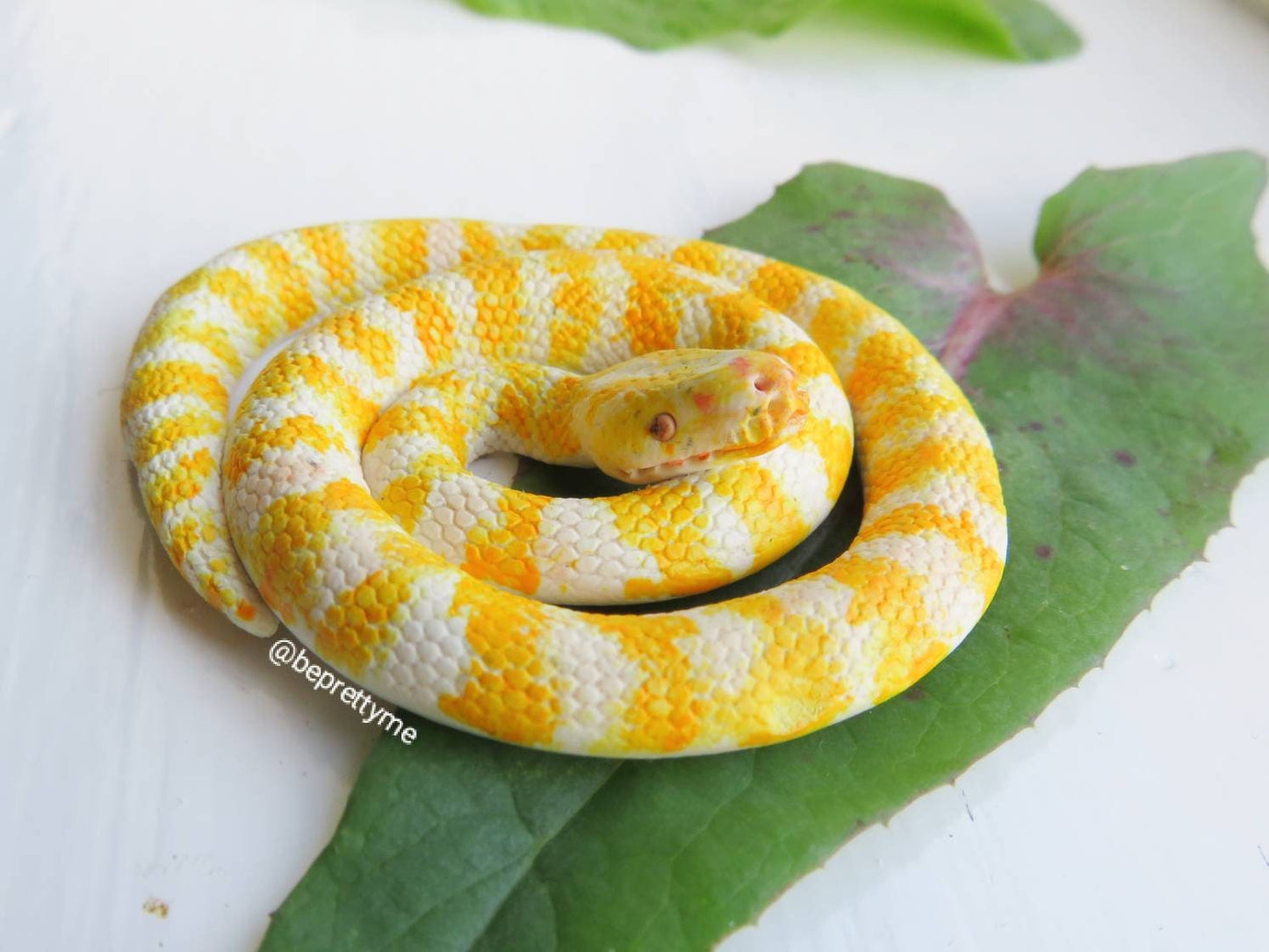 Albino Burmese Python Snake Pendant