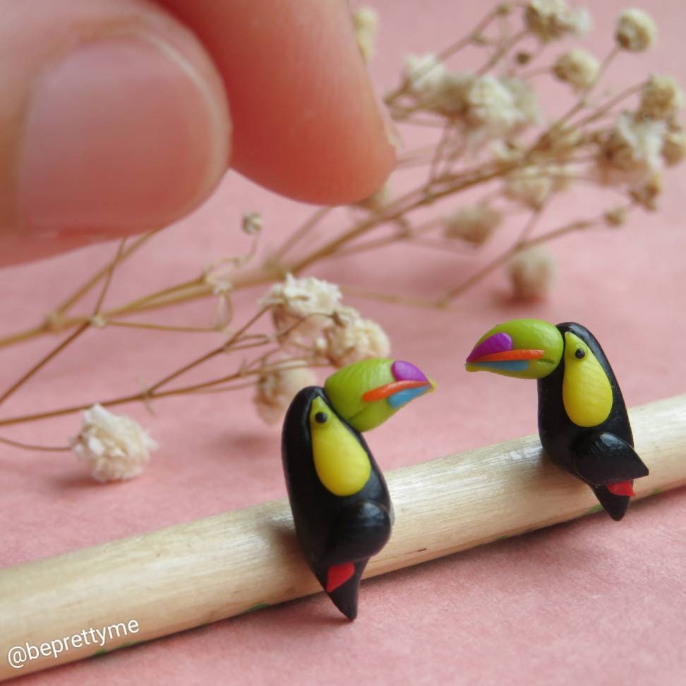 Cute Toucan Stud Earrings
