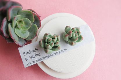 Cute Succulents Earrings