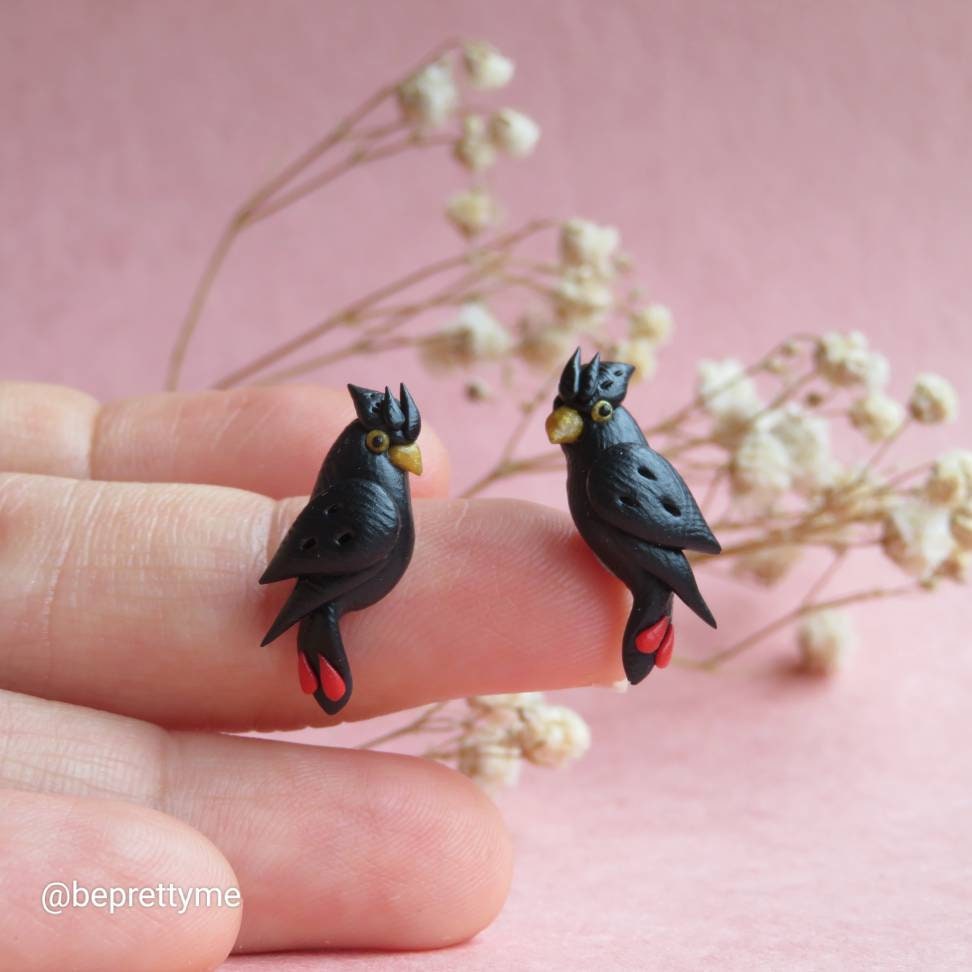 Black Cockatoo Stud Earrings