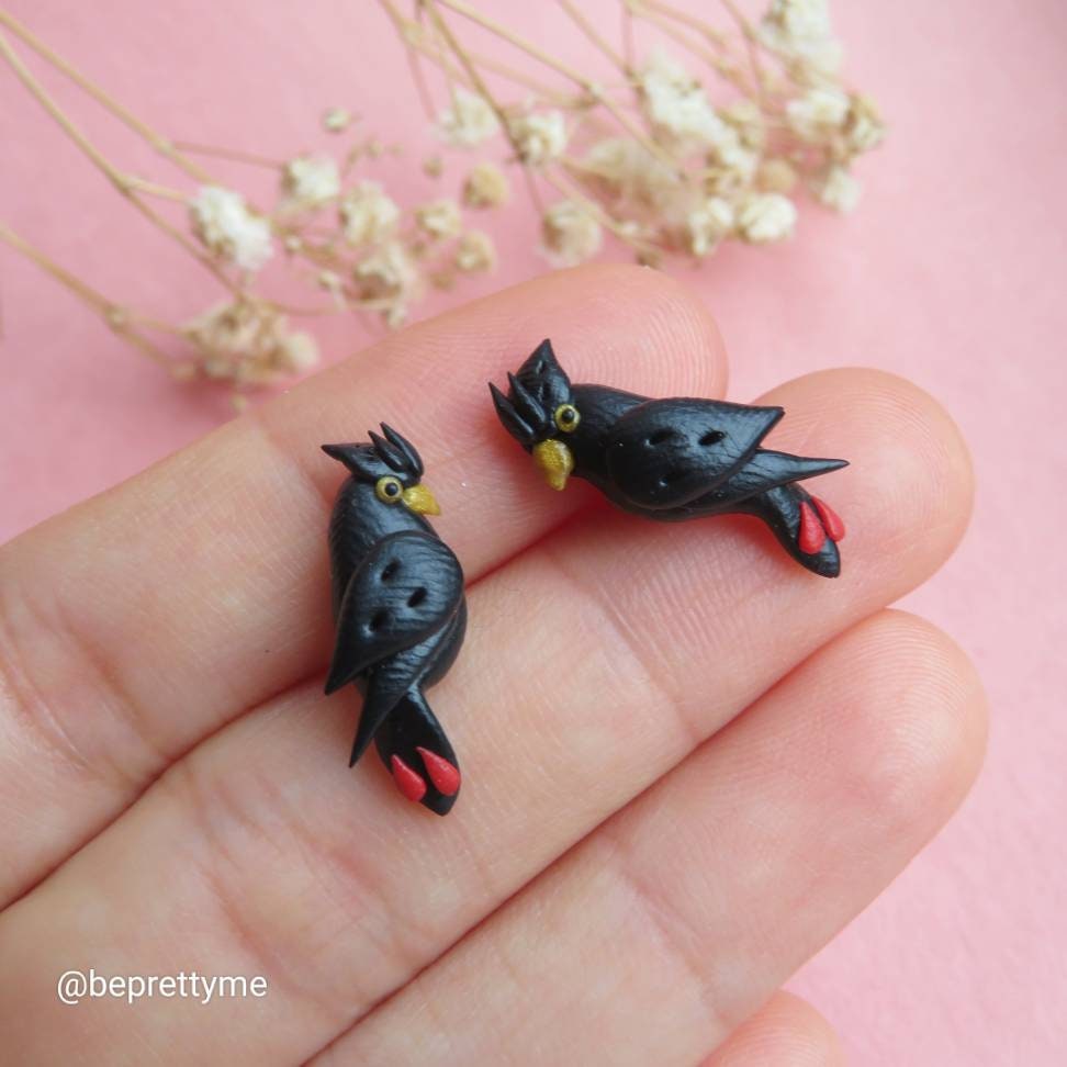 Black Cockatoo Stud Earrings