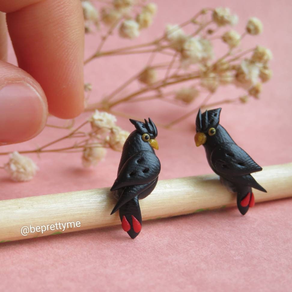 Black Cockatoo Stud Earrings