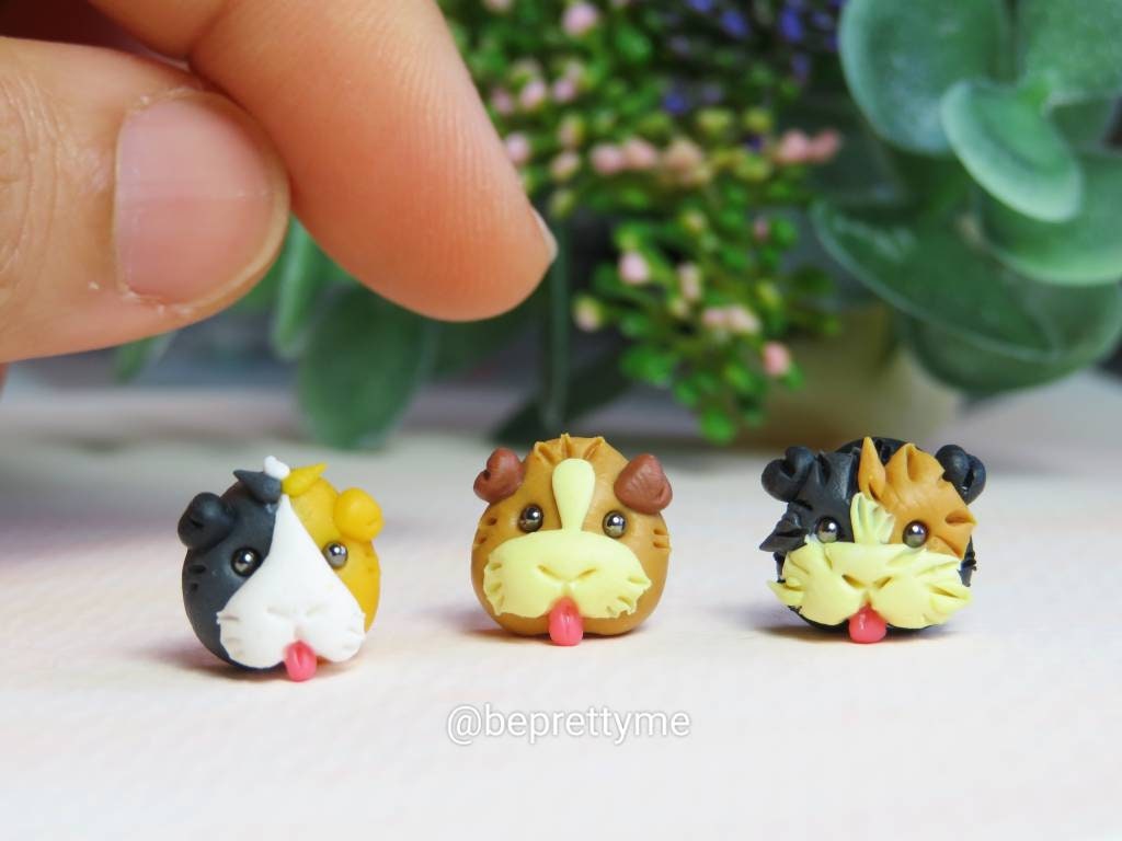 Guinea Pig Stud Earrings. Comes in a pair