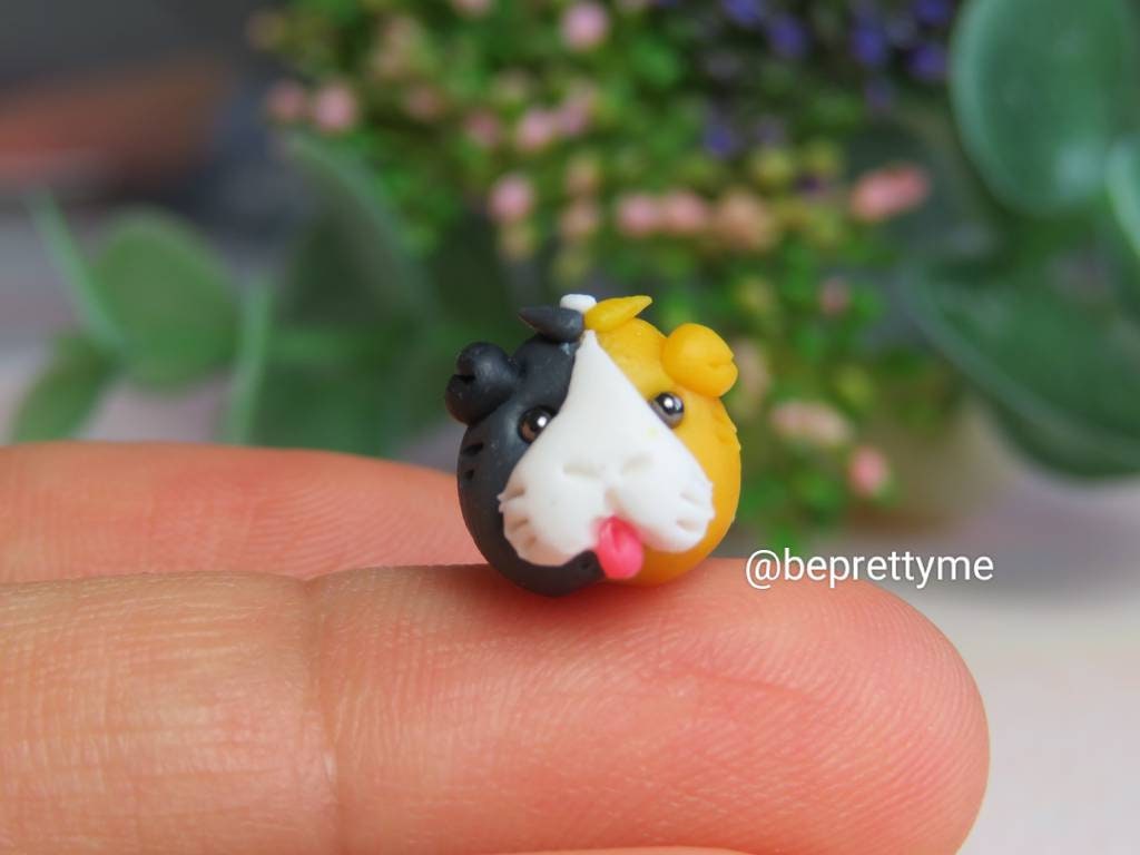 Guinea Pig Stud Earrings. Comes in a pair