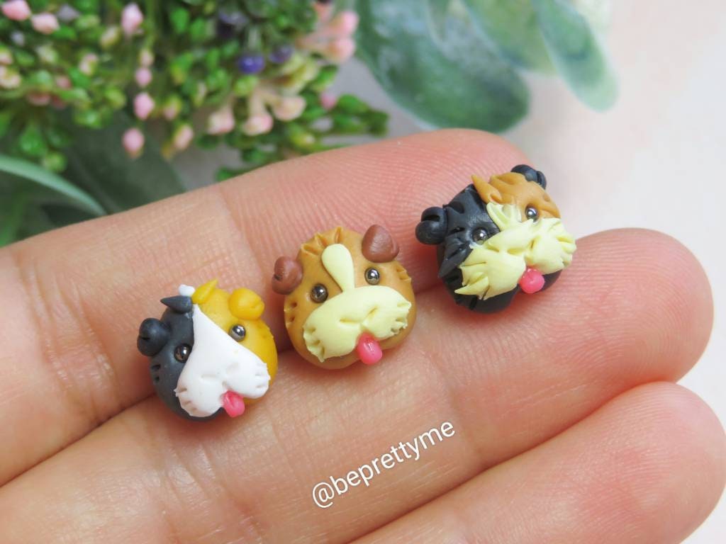Guinea Pig Stud Earrings. Comes in a pair