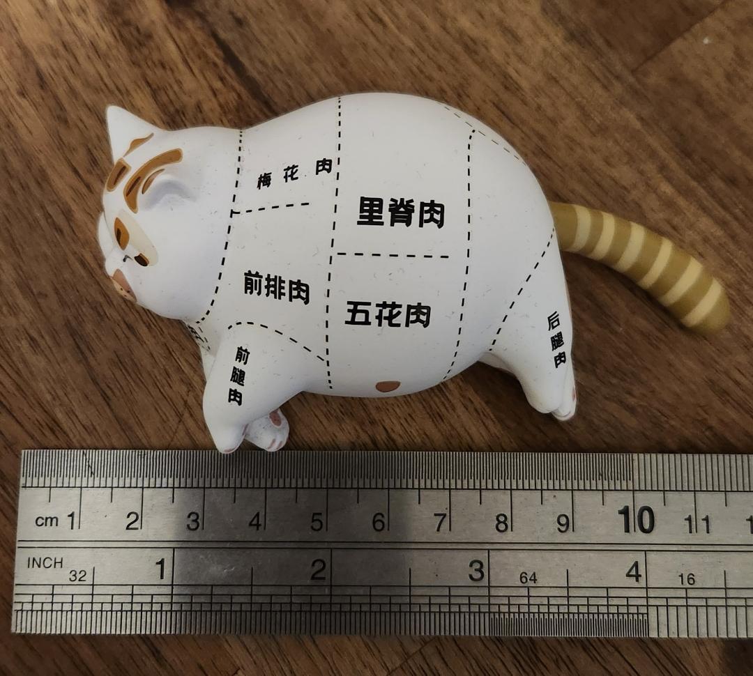 Custom Order for Mon. Cleo the chonky cat. Ceramic work